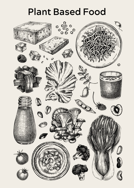 Plant-based products set. Vegan food poster design. Tofu, plant milk, mushrooms, vegetables, nuts, berries, seaweeds, beans, seeds. Healthy food, vegetarian menu design elements, wall art, print